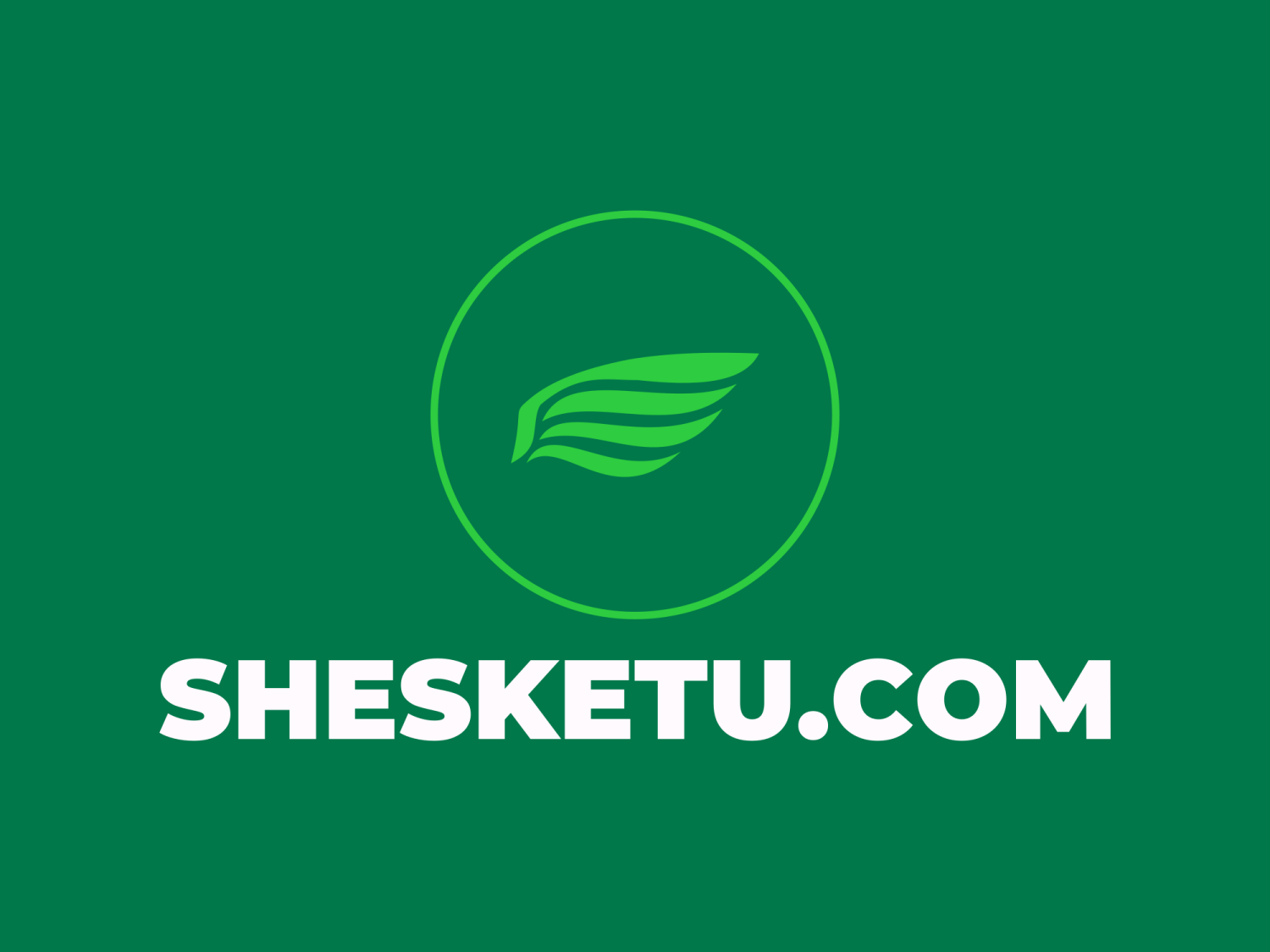 TikTok Shop